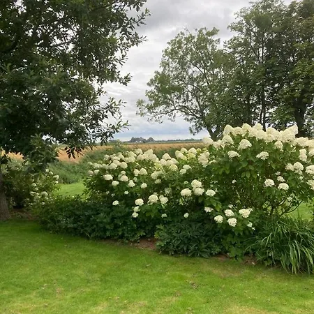 Holiday home Marie Carla Simonsberg