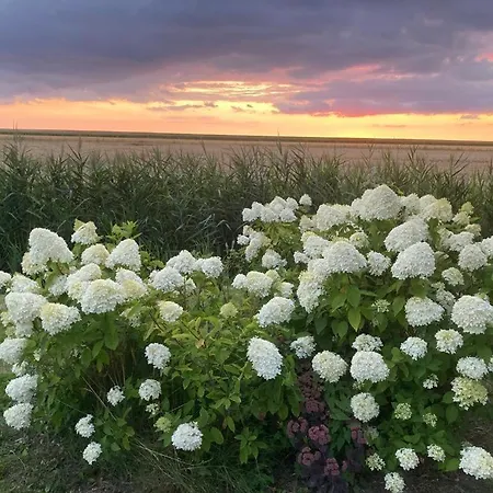 Holiday home Marie Carla *