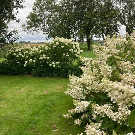 Marie Carla * Simonsberg