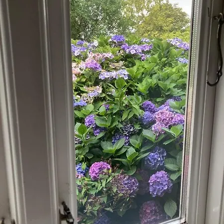 Marie Carla Holiday home *