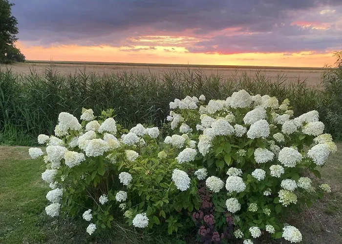 Ferienhaus Marie Carla *