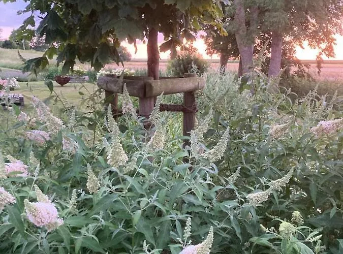 Marie Carla * Simonsberg