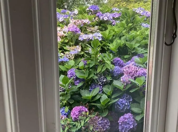 Marie Carla Ferienhaus *